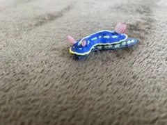 うみうし　海牛　置物