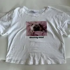 ZARA #morning mood フレンチブルドッグ Tシャツ