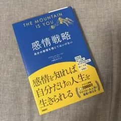 感情戦略