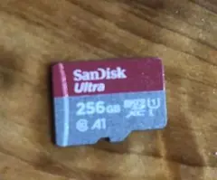 SanDisk Ultra microSD 256GB