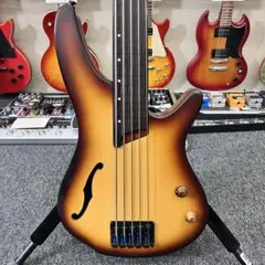 Antique Noé 5弦フレットレスエレキベース ブラウン 独創的なTUNEベース！ #今週の逸品 | イシバシ楽器スタッフブログ