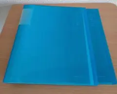 Item thumbnail for item e4ba2899-090c-4405-94f2-7973f5f74849