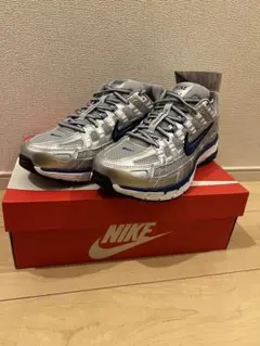 NIKE ナイキ　P6000 シルバー/ブルー　29cm