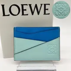 【極美品】ロエベ カードケース アナグラム マルチカラー 4色 レザー 付属品