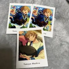 真白友也 3枚 ぱしゃっつ