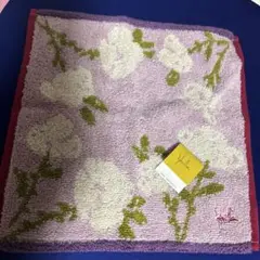 Item thumbnail for item 003a0061-890e-4716-8f59-d17ad712655e