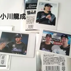 千葉ロッテマリーンズ/小川龍成　BSWシークレットチェキ　コンプリートセット