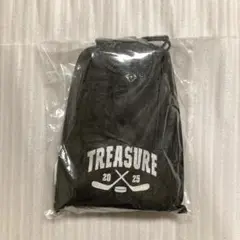 TREASURE シーグリ タオル team towel チームタオル