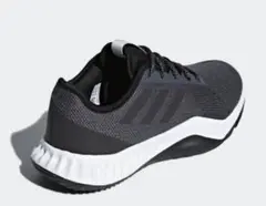 adidasシューズ Crazytrain LT 'Grey'