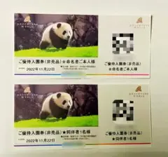 アドベンチャーワールド 入園券 2枚