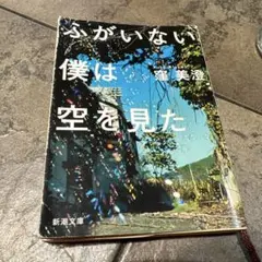 ふがいない僕は空を見た