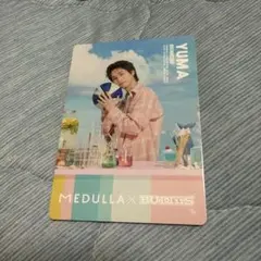 BUDDiiS YUMA 野瀬勇馬 MEDULLA ヘアカルテカード