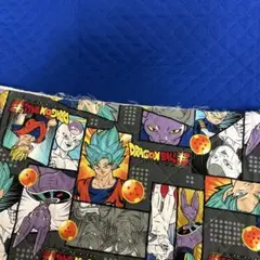 希望額⭐️キルティング2種