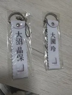 櫻坂46 大沼晶保・大園玲 キーホルダーセット
