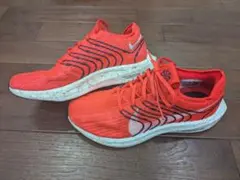 NIKE　ペガサスターボネクストネイチャー　26cm