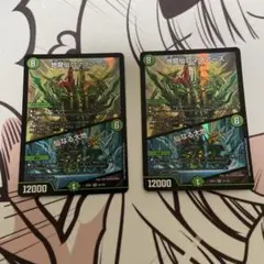 ロマネアース 2枚