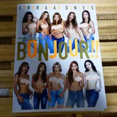 CYBER JAPAN DANCERS BUNJOUR!!