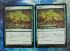 MTG 過剰防衛/Overprotect BLB 日本語版2枚