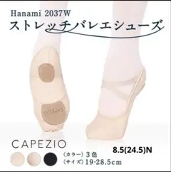 8.5N Hanami 2037w⭐︎ハナミ カペジオ CAPEZIO