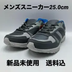 新品未使用 メンズスニーカー　25.0cm グレー　　送料込　軽量　【匿名配送】