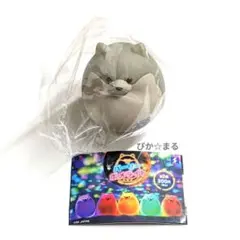 パーリーポメライト　グレー　ポメラニアンマスコット　ガチャ