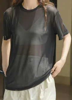シアーカットソー　メッシュ半袖Tシャツ　シースルー　シアー　ブラック　透け感