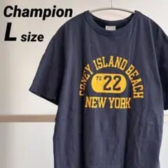 Champion USAコットンカレッジプリントC3-X350 Lsize