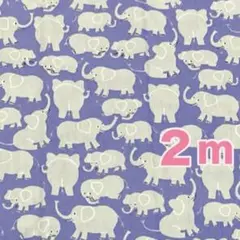 ★ パープル系　可愛いぞうさん柄 ★ 綿１００% ブロード生地　１０６㎝×２m