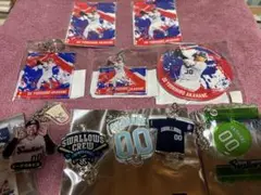 東京ヤクルトスワローズ#00赤羽選手グッズセット
