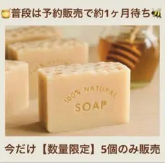 Item thumbnail for item ff44e994-f69c-4145-9f22-3af657a45718