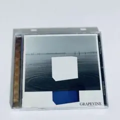 GRAPEVINE　イデアの水槽　グレイプバイン　CD