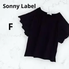 ＊サニーレーベル＊カットソー Tシャツ 袖刺繍 レース 着回し 夏 黒 F
