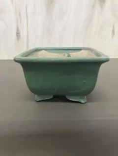 盆栽小鉢