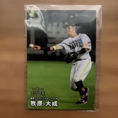 プロ野球チップス2025第1弾 牧原大成選手 レギュラーカード