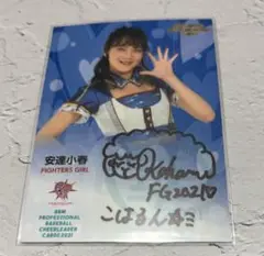 Item thumbnail for item 8cb2a7ce-9216-4632-8ddc-b4e10afd06bf