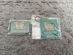 阪神タイガース ヒーロー記念 缶バッジ＆アクリルキーホルダーセット