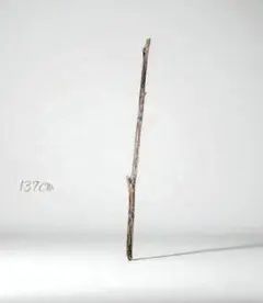 素直な直線の自然流木137cmロング　ドライフラワー　素朴　北欧　雑貨　シャビー