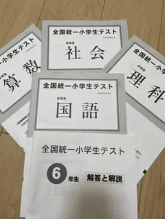 全国統一小学生テスト6年生2025年6月