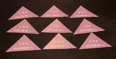 VOICEスタイル VOL.2 サイン入りポラ 応募券 9枚セット