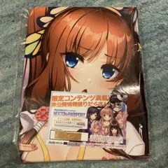 2025年最新】戦国 恋姫 ブランケットの人気アイテム - メルカリ