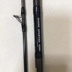 ハル様専用【美品】ダイワ ショアスパルタン 100H