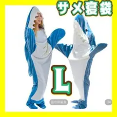 Item thumbnail for item d18418e6-50de-4a5e-82da-fd3083f2f715