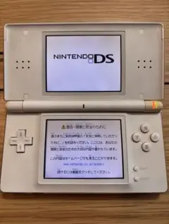 動作確認済み　ニンテンドーDS ライト　ホワイト 本体　どうぶつの森セット