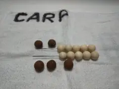 鯉釣り自作ボイリーニードル2本セットカープフィッシング