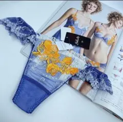 Item thumbnail for item c8c7bb09-c0fe-407c-bfef-27fe0e8c72b1