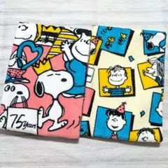 Item thumbnail for item 71fa4ca6-2ad7-4b91-95f1-96c54439857d