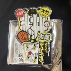 阪神タイガース シークレット アクリルネームバッジ 大竹耕太郎