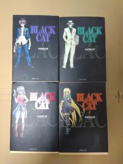 BLACK CAT　文庫版全12巻セット