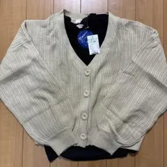 Item thumbnail for item 2eecff11-3550-49cd-b30f-de31107b06e2