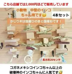 Item thumbnail for item 5e59a62e-2efe-4b2f-af53-da38b77627c5